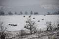 Rural landscape, first snow on the hills Royalty Free Stock Photo