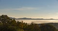 Rural landscape fog mist morning trees forest hill wind turbines