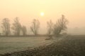 rural landscape on a foggy autumn morning rural landscape with silhouettes of trees in a field next to a dirt road in misty Royalty Free Stock Photo