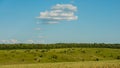 Rural landscape in the forest-steppe