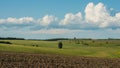 Rural landscape in the forest-steppe