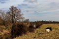 A rural landscape, at Glynde in Sussex Royalty Free Stock Photo