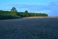 Rural landscape golden light purple clouds