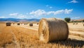 Rural landscape, golden meadow, rolled up hay bales in summer generated by AI Royalty Free Stock Photo