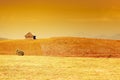Rural landscape with golden sky and grass Royalty Free Stock Photo