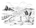 Rural landscape in graphical style