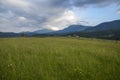 Rural landscape with grazing horse and beautiful View of the mountains of Hoverla and Petros, on background