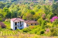 Rural landscape in Greece with farm and vineyards