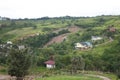 A rural landscape of green farm fields and country hillsides Royalty Free Stock Photo