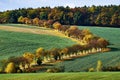 Rural landscape with green fields, auto road and alley autumn trees, South Moravia, Czech Republic Royalty Free Stock Photo