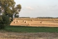 rural landscape after the harvest, field covered with straw rolls, freshly hay bales Royalty Free Stock Photo