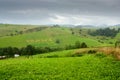 Rural landscape - haystacks against the background mountains Western Carpathians Royalty Free Stock Photo