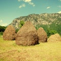 Rural landscape with haystacks Royalty Free Stock Photo