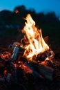 Rural landscape, high flame of night bonfire on dark background rose Royalty Free Stock Photo