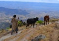 Rural landscape, Ethiopia