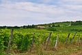 Rural landscape in Hungary near Balaton Royalty Free Stock Photo