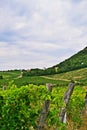 Rural landscape in Hungary near Balaton Royalty Free Stock Photo