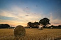 Rural landscape image of Summer sunset over field of hay bales Royalty Free Stock Photo