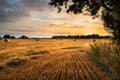 Rural landscape image of Summer sunset over field of hay bales Royalty Free Stock Photo