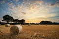 Rural Landscape Image Of Summer Sunset Over Field Of Hay Bales