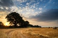 Rural landscape image of Summer sunset over field of hay bales Royalty Free Stock Photo