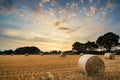 Rural landscape image of Summer sunset over field of hay bales Royalty Free Stock Photo