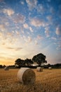 Rural landscape image of Summer sunset over field of hay bales Royalty Free Stock Photo