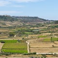 Rural landscape on island Gozo.