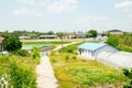 Rural landscape at spring day in Korea Royalty Free Stock Photo