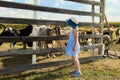 Rural landscape. A little girl stands at the gate of a fenced pasture with goats and sheep