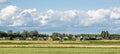 Rural landscape with a lonely cow in the meadow against the background of the village Royalty Free Stock Photo