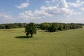 rural landscape with lonely trees in the middle of a green agricultural field on a sunny day Royalty Free Stock Photo