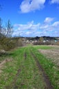 A rural landscape with many private houses and green trees. Suburban panorama on a cloudy afternoon. A place far from the cit