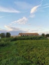 Rural landscape with meadow, sky and abandoned house Royalty Free Stock Photo