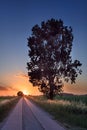 Rural landscape with narrow road through the fields at a colorful sunset, Ravels, Belgium.