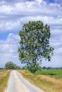 Rural landscape with narrow road through the fields on a summer day, Ravels, Belgium.