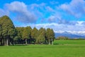 Rural landscape with native trees and snowy Tararua Range, New Zealand Royalty Free Stock Photo