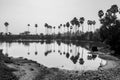 Rural landscape near bankura west bengal Royalty Free Stock Photo