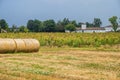 Rural landscape near Busseto, Italy