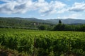 Rural landscape near Castiglion Fibocchi, Tuscany