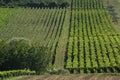 Rural landscape near Chieti, Italy