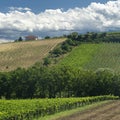 Rural landscape near Chieti, Italy