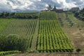 Rural landscape near Chieti, Italy