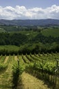 Rural landscape near Guiglia, Emilia-Romagna Royalty Free Stock Photo