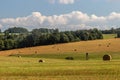 Rural landscape near Letohrad, Czech Republ