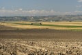 Rural landscape near Lucera, Apulia