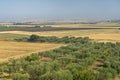 Rural landscape near Lucera, Apulia