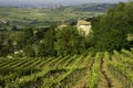 Rural landscape near Nibbiano, Emilia-Romagna, at May