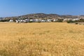 Rural landscape near town of Parikia, Paros island, Greece Royalty Free Stock Photo