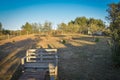 Rural landscape with olive grove and village in the mountains. Royalty Free Stock Photo